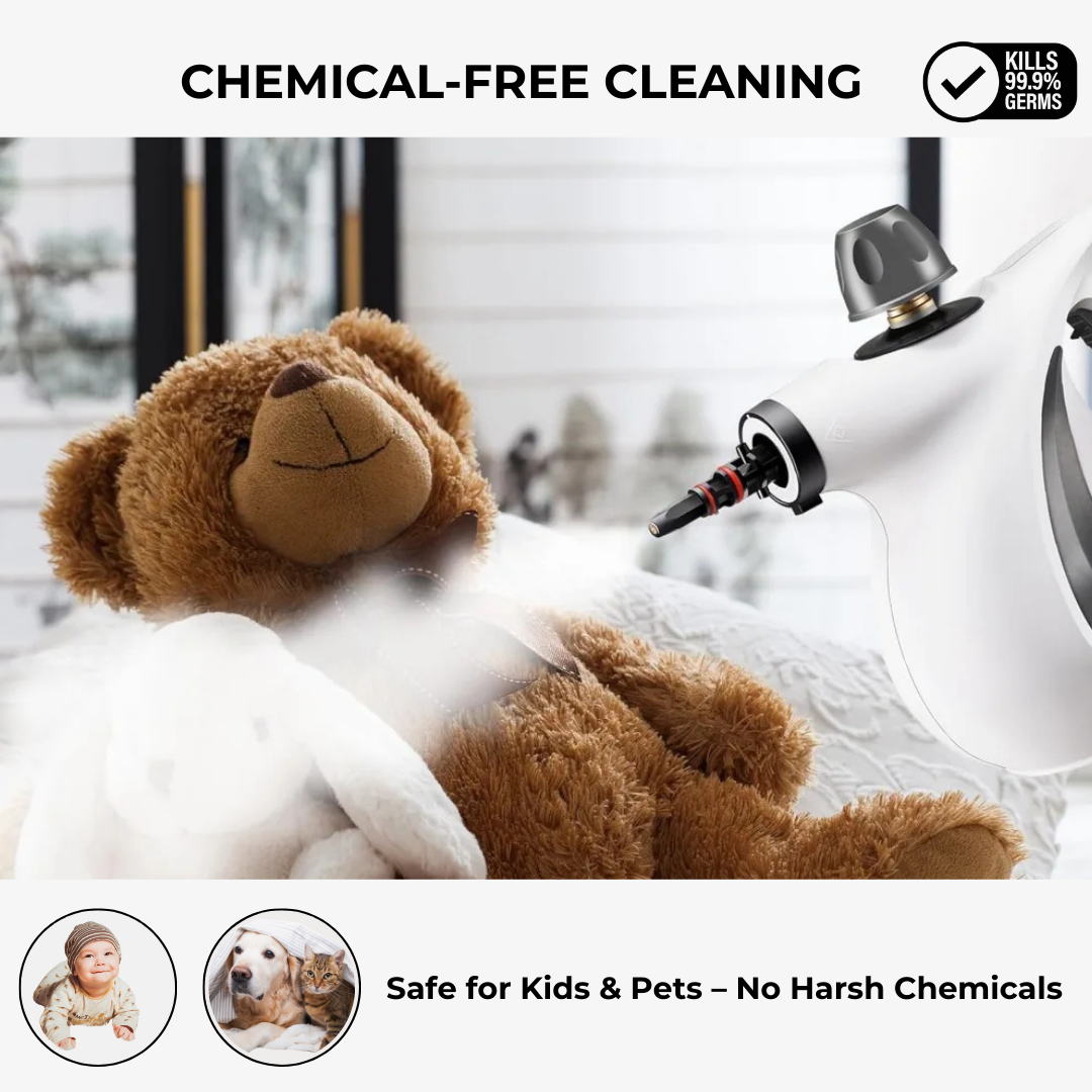 Airvana Pro Steam Cleaner