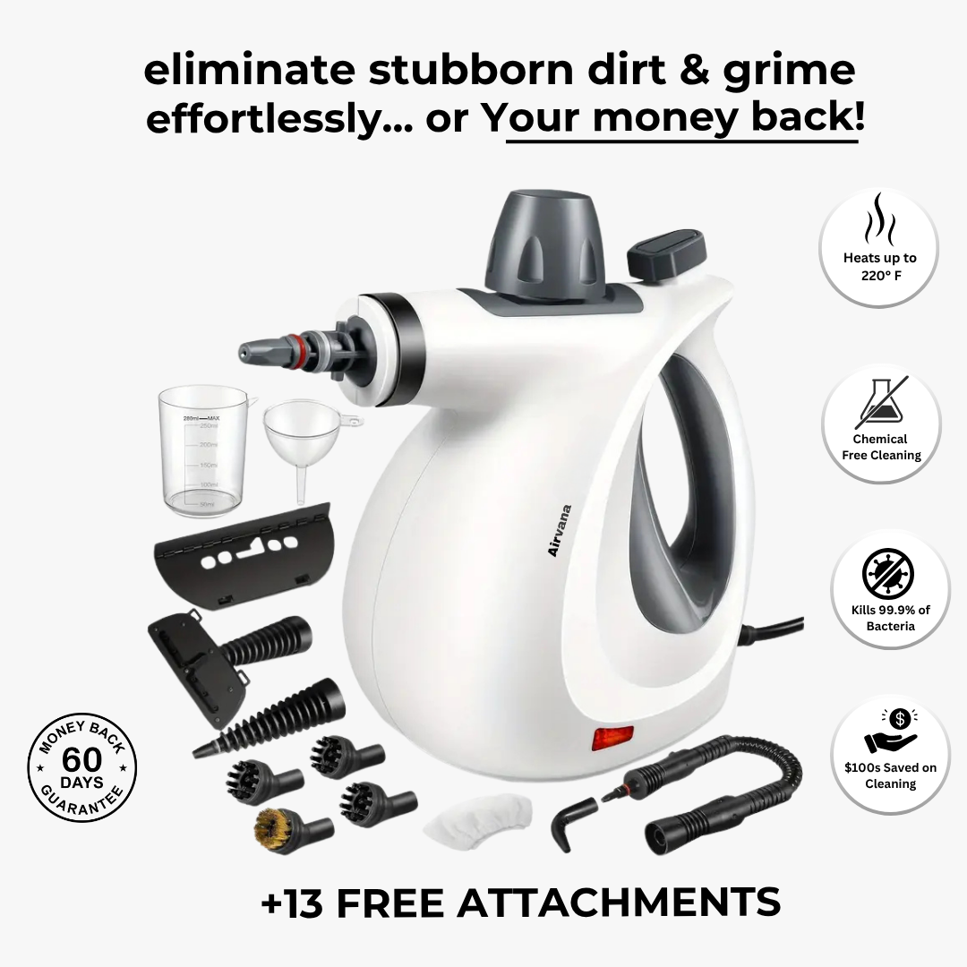 Airvana Pro Steam Cleaner