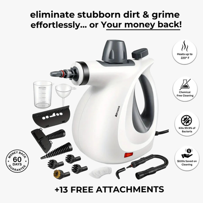 Airvana Pro Steam Cleaner